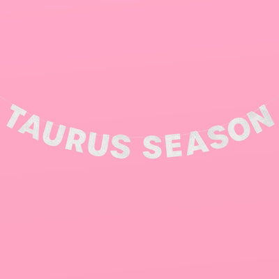 Taurus Season Banner - silver glitter banner