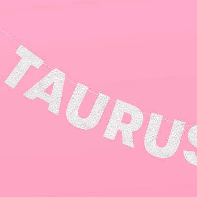 Taurus Season Banner - silver glitter banner