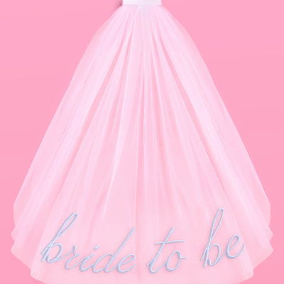 Something Blue Veil - embroidered tulle veil