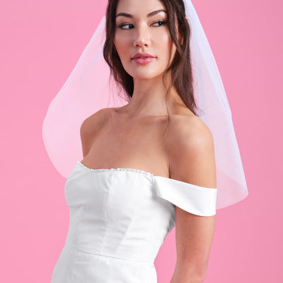 Something Blue Veil - embroidered tulle veil