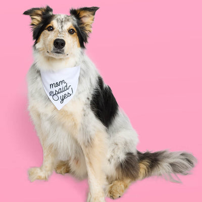 Mom Said Yes! Bandana - white pet bandana