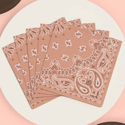 Wild Wild West Napkins - 25 printed napkins