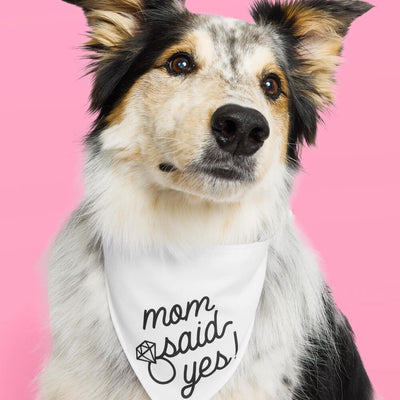 Mom Said Yes! Bandana - white pet bandana
