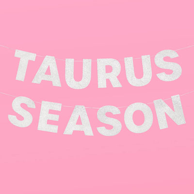 Taurus Season Banner - silver glitter banner