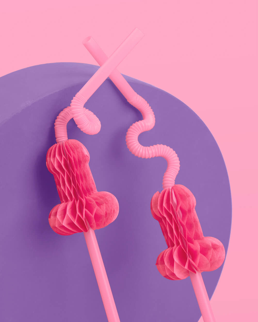 Penis Accordian Straws - 16 twisty straws