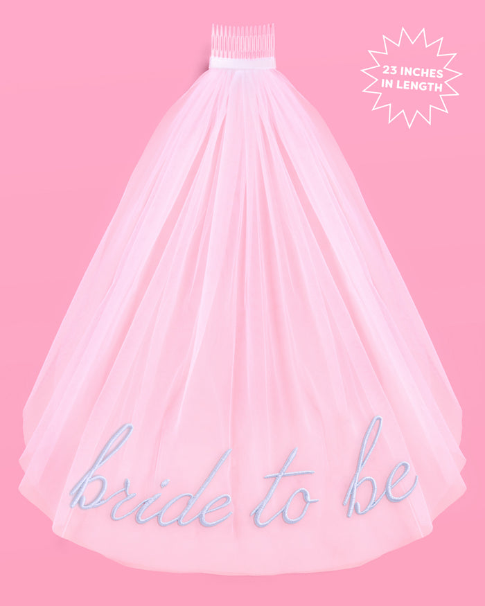 Something Blue Veil - embroidered tulle veil | xo, Fetti