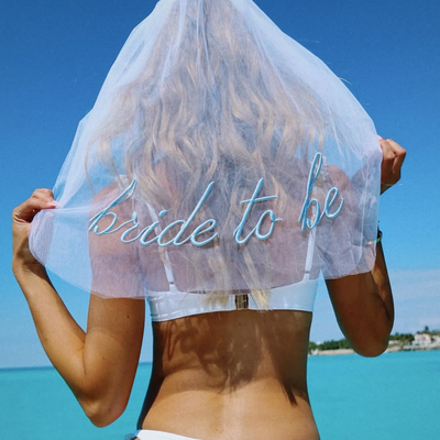 Something Blue Veil - embroidered tulle veil