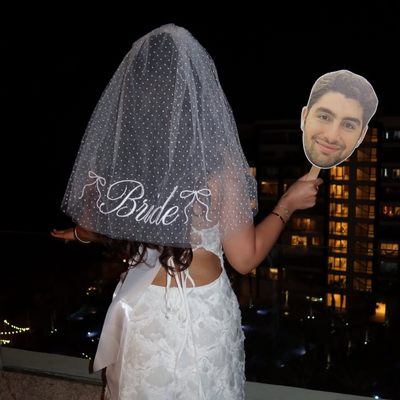 Dotted Bride Veil - embroidered bridal veil