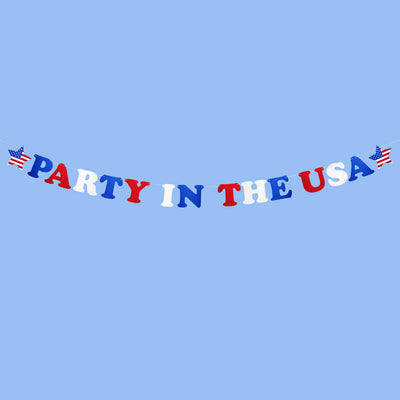 Party In The USA Banner - iridescent foil banner
