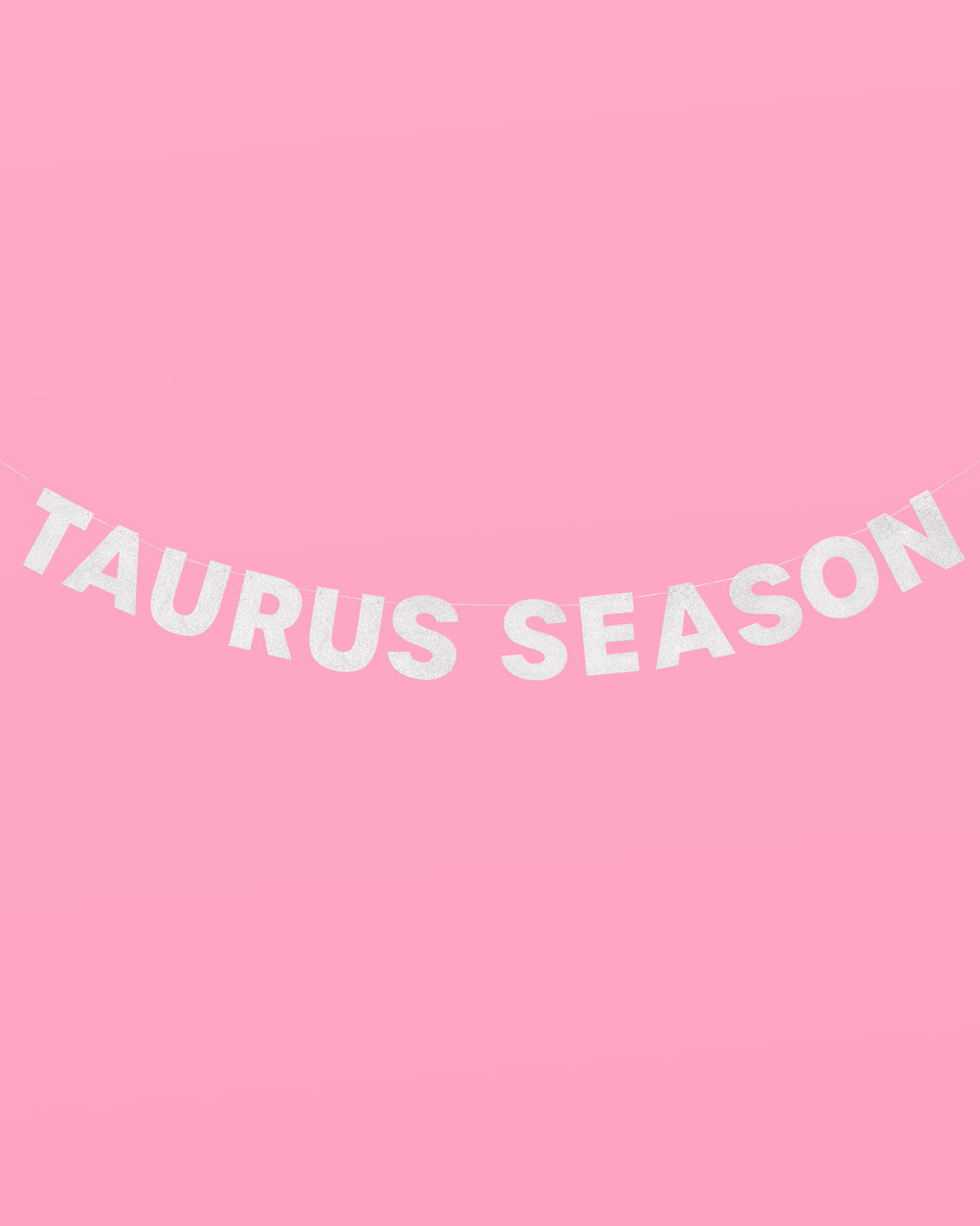 Taurus Season Banner - silver glitter banner