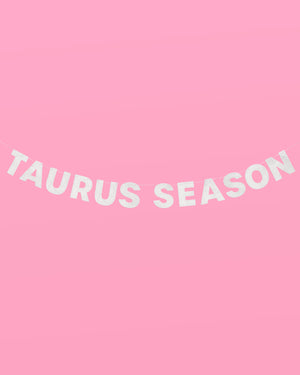 Taurus Season Banner - silver glitter banner