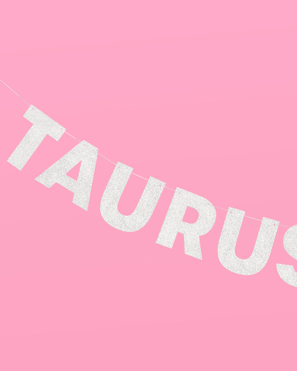 Taurus Season Banner - silver glitter banner