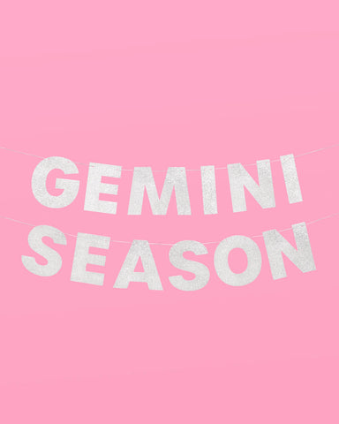 Gemini Season Banner - silver glitter banner