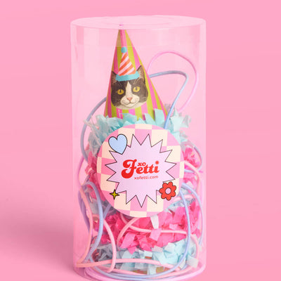 Cat Mini Party Hats - 10 paper hats