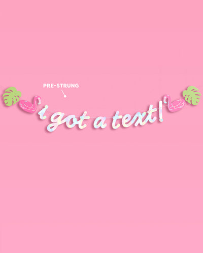 I Got A Text Banner - iridescent foil banner