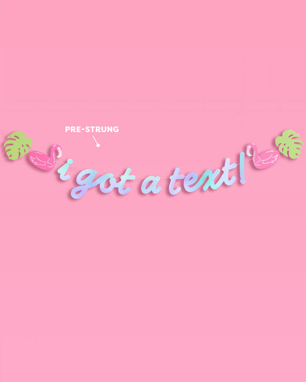I Got A Text Banner - iridescent foil banner