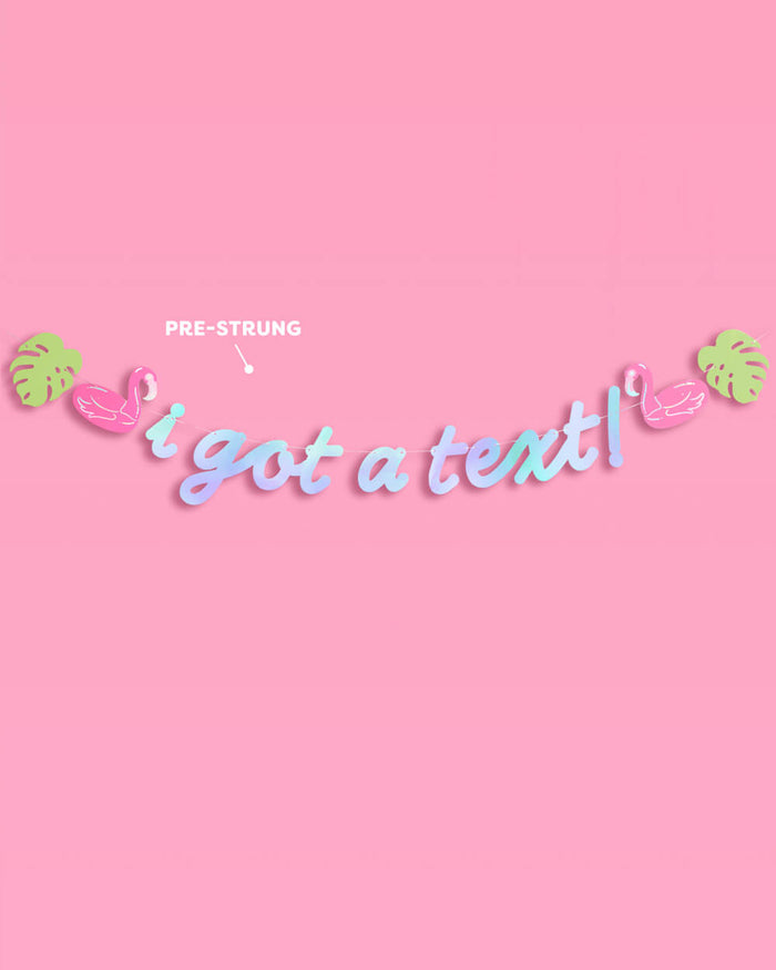 I Got A Text Banner - iridescent foil banner