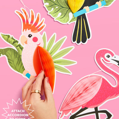 Tropical Accordions - tropical banner