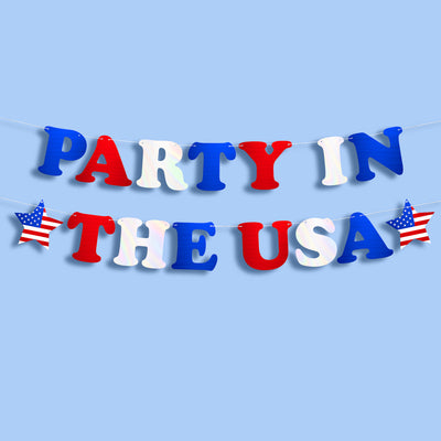 Party In The USA Banner - iridescent foil banner