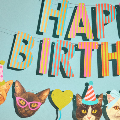 Crazy Cat Banner - really fun party banner