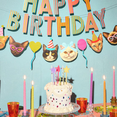 Crazy Cat Banner - really fun party banner