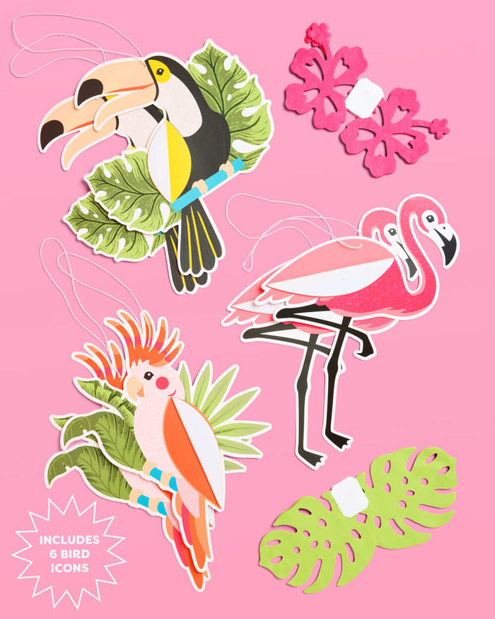 Tropical Accordions - tropical banner