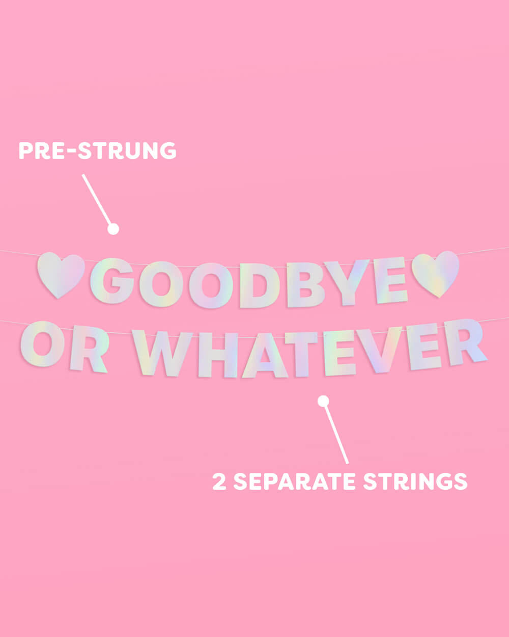 Goodbye Banner - 5 foot banner