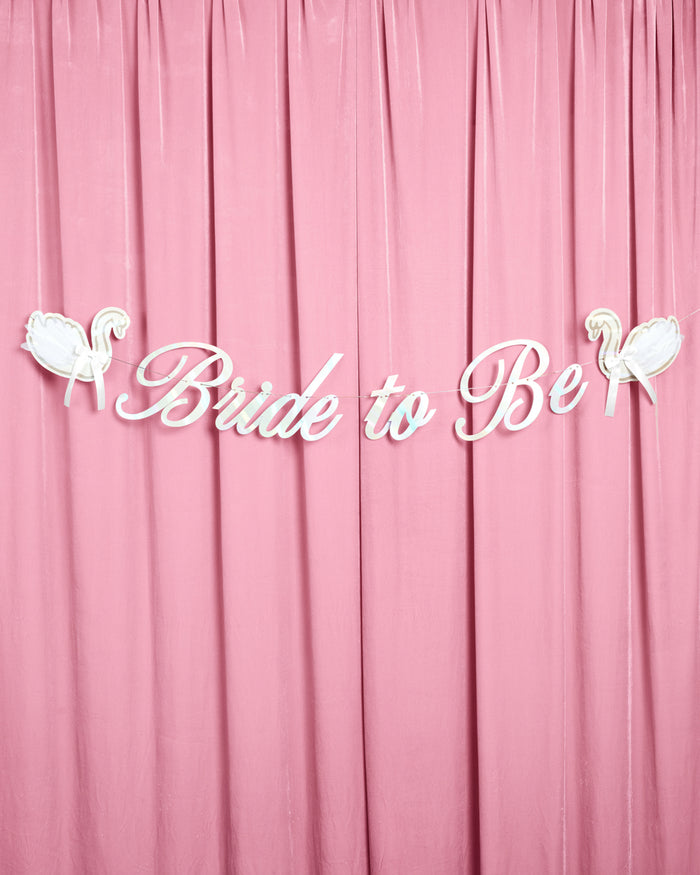 Swan to Be Banner - iridescent foil banner