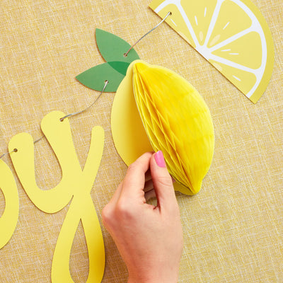 Happy Birthday Lemon Banner - lemon birthday banner