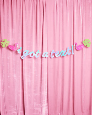 I Got A Text Banner - iridescent foil banner