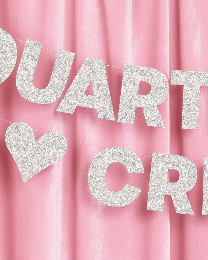 Crisis Averted Banner - silver glitter banner