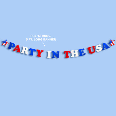 Party In The USA Banner - iridescent foil banner