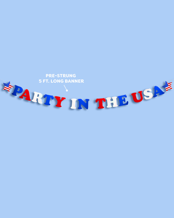 Party In The USA Banner - iridescent foil banner