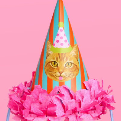 Cat Mini Party Hats - 10 paper hats