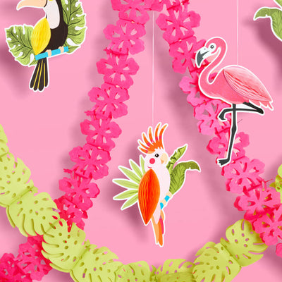 Tropical Accordions - tropical banner