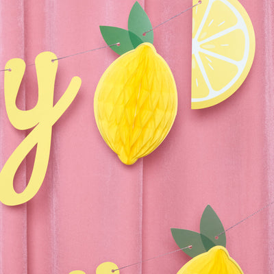 Happy Birthday Lemon Banner - lemon birthday banner