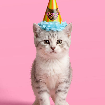 Cat Mini Party Hats - 10 paper hats