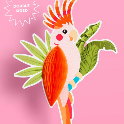 Tropical Accordions - tropical banner