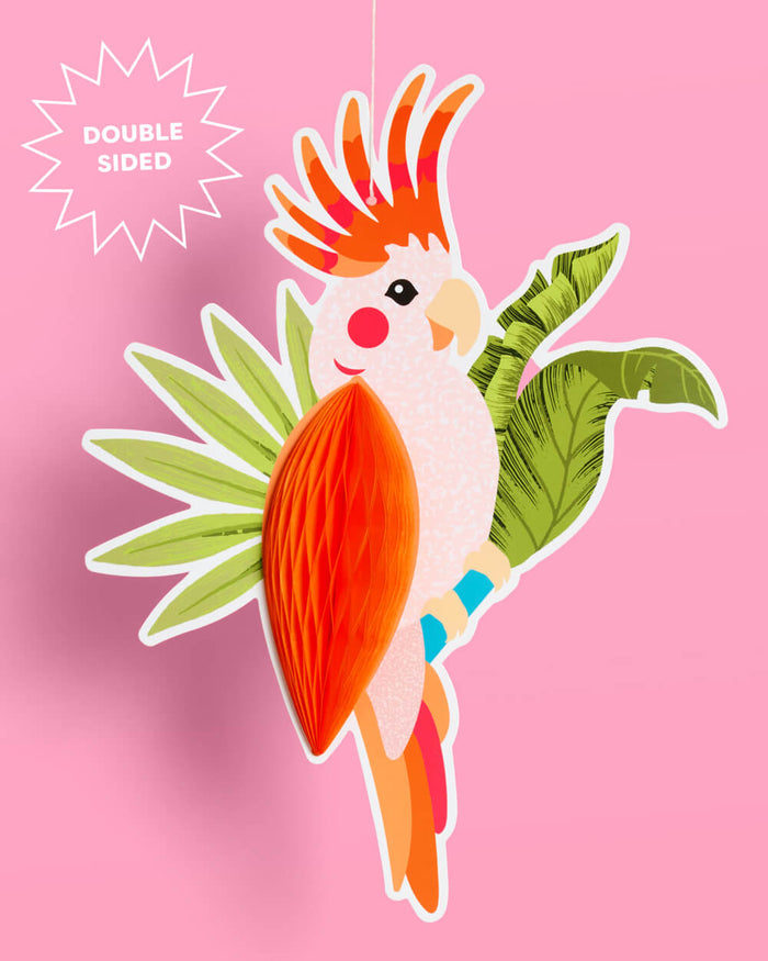 Tropical Accordions - tropical banner
