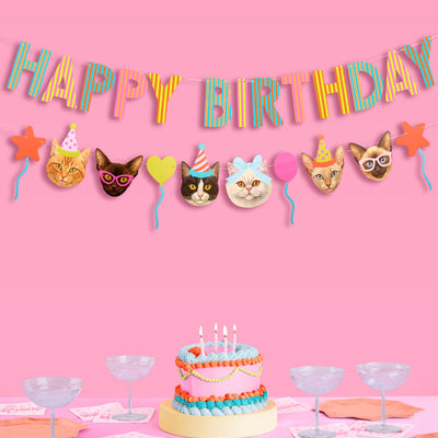 Cat Bday Bundle - banner, napkins, plates + party hats