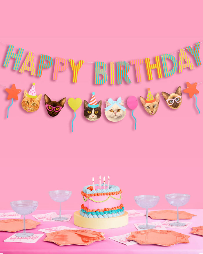 Cat Bday Bundle - banner, napkins, plates + party hats