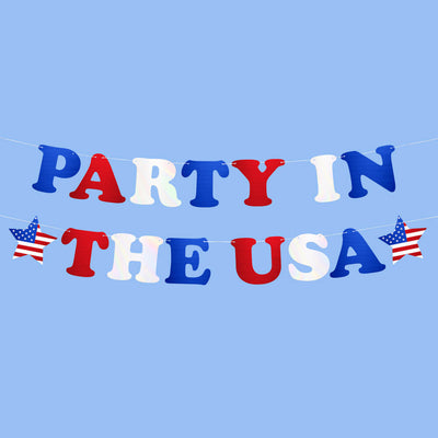Party In The USA Banner - iridescent foil banner