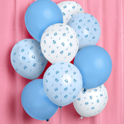 Coastal Balloon Pack - 24 latex balloons