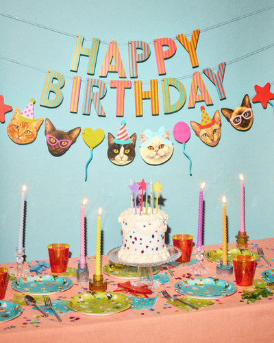 Crazy Cat Banner - really fun party banner