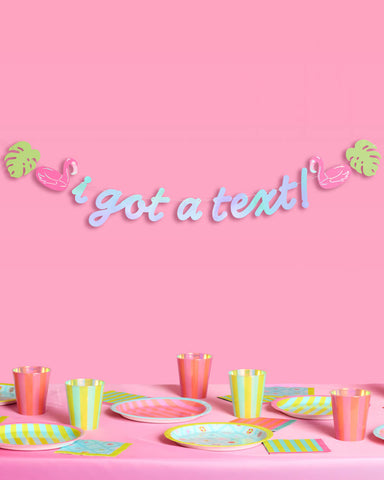 I Got A Text Banner - iridescent foil banner
