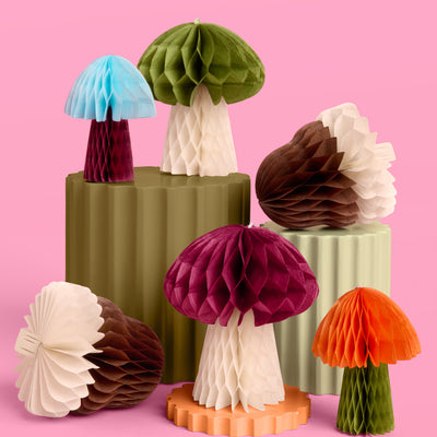 Fall Accordion Set - 6 paper accordions