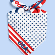 World Cup Bandana - square bandana