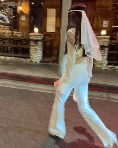 Crystal Clear Veil - silver crystal veil