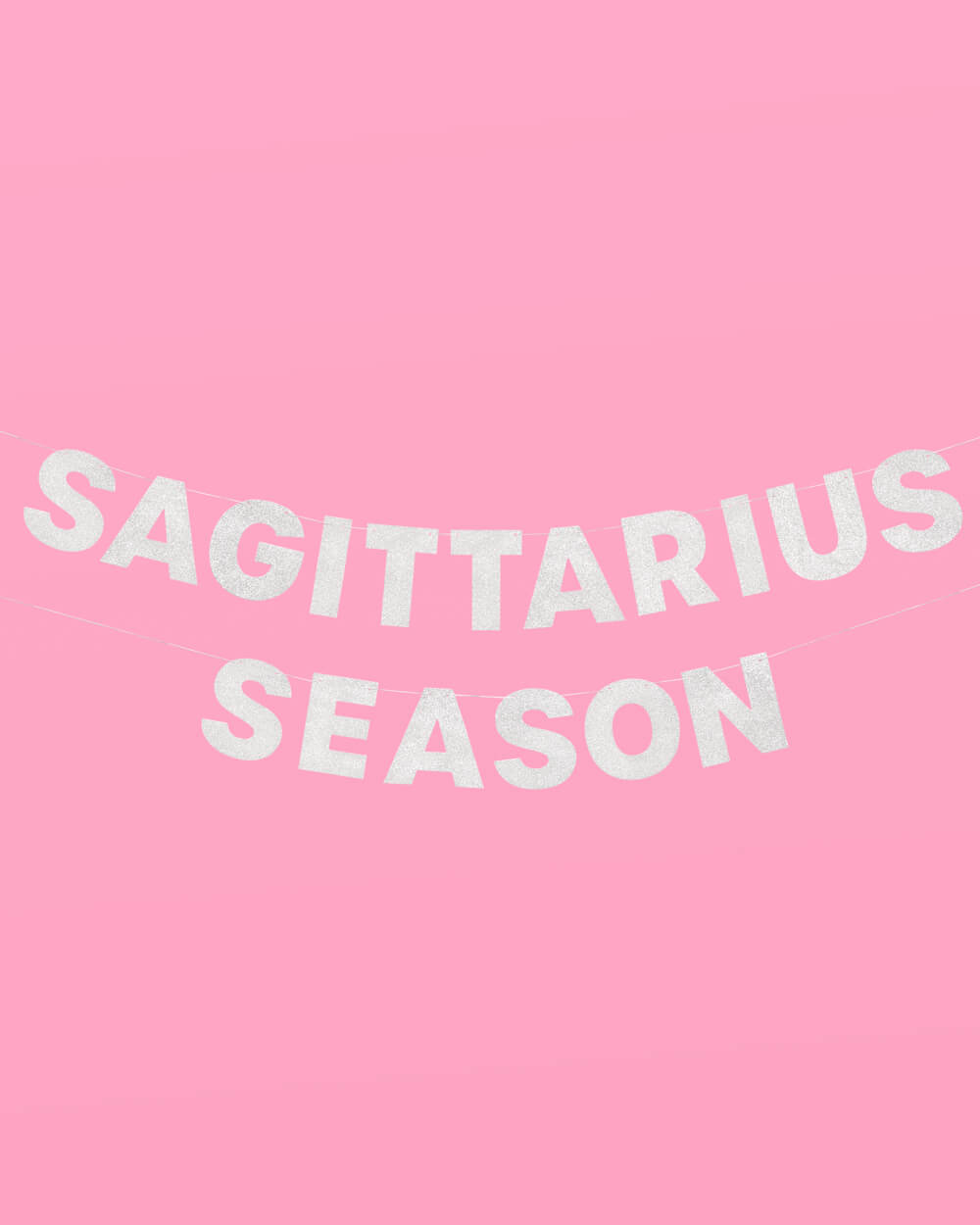 Sag Season Banner - silver glitter banner