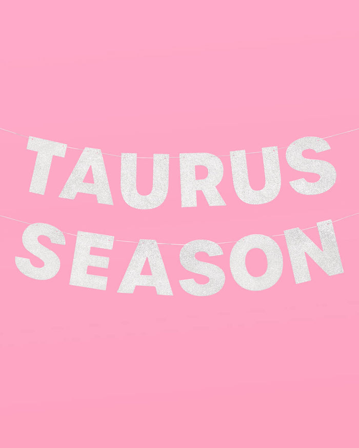 Taurus Season Banner - silver glitter banner